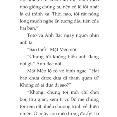 Toto - Cô Mèo Ninja