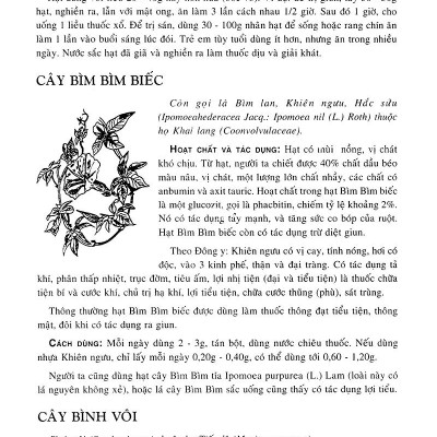 Cây Thuốc Nam - Những Bài Thuốc Quý Từ Dân Gian