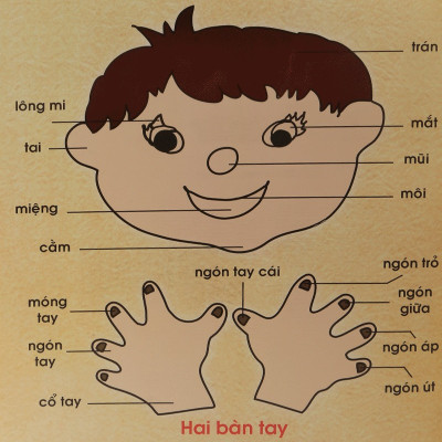 Sách: Từ Điển Tranh Cho Trẻ Em (Bìa Cứng) B99