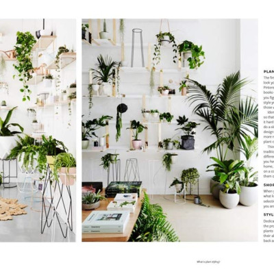 Plant Style: How To Greenify Your Space