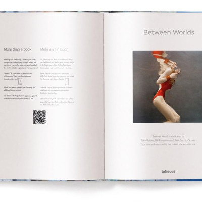 Barbara Cole-Between Worlds