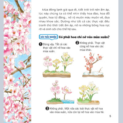 Wow, Thì Ra Là Thế! - Bí Mật Nhỏ Của Thực Vật