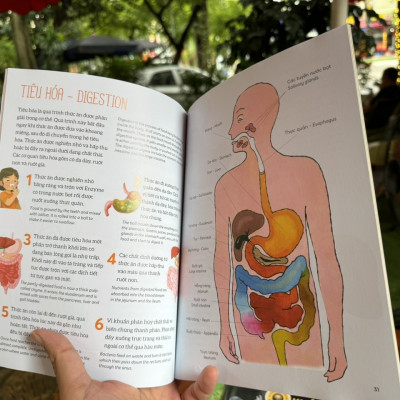 (Bộ sách Song Ngữ Việt – Anh) COMBO 5 CUỐN BÁCH KHOA TRI THỨC - Encyclopedia of Science – Bramblekids – Phạm Danh Việt dịch – Hà Giang Books – NXB Dân trí