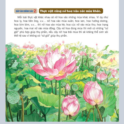 Wow, Thì Ra Là Thế! - Bí Mật Nhỏ Của Thực Vật