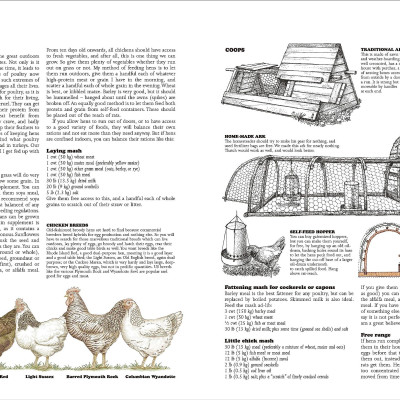 The Complete Book Of Self-Sufficiency - The Classic Guide For Realists And Dreamers
