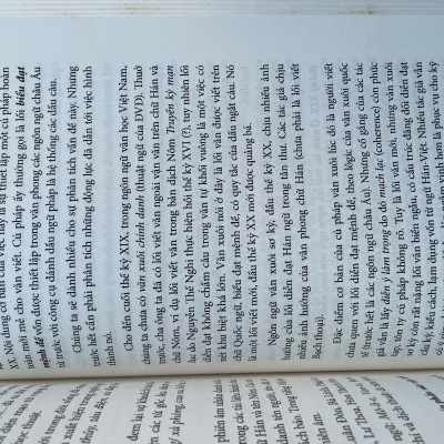 Tiếng Việt Lịch Sử - Một Tham Chiếu Hồi Quan