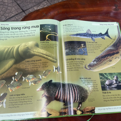 [BÁCH KHOA CHO TRẺ EM] – BÁCH KHOA TỰ NHIÊN – MỞ MANG KIẾN THỨC KHƠI DẬY TIỀM NĂNG– tủ sách DK – Đông A – Bìa Cứng in màu toàn bộ