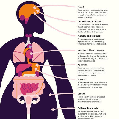 The Science Of Sleep: Stop Chasing A Good Night’s Sleep And Let It Find You
