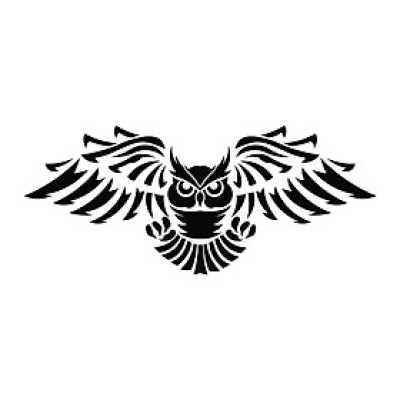 Tem xe hơi hình chim cú tung cánh