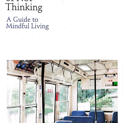 The Practice Of Not Thinking: A Guide To Mindful Living