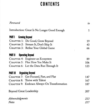 Beyond Great: Nine Strategies For Thriving In An Era Of Social Tension, Economic Nationalism, And Technological Revolution