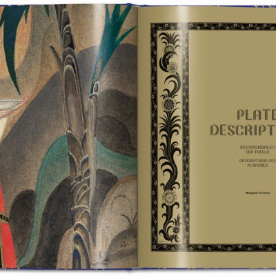 Artbook - Sách Tiếng Anh - Kay Nielsen. 1001 Nights