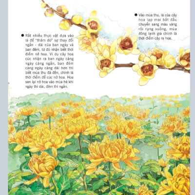 Wow, Thì Ra Là Thế! - Bí Mật Nhỏ Của Thực Vật