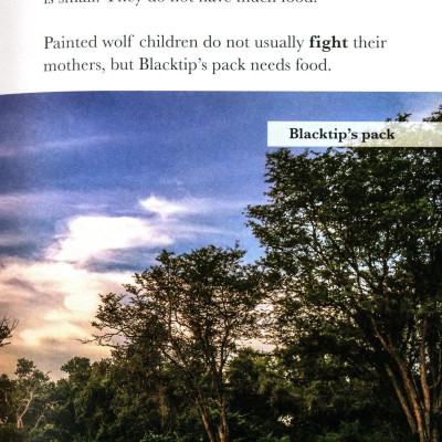 Penguin Readers Level 1: BBC Dynasties: Wolves