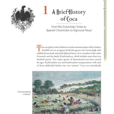 Coca Wine: Angelo Mariani