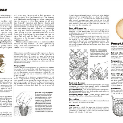 The Complete Book Of Self-Sufficiency - The Classic Guide For Realists And Dreamers