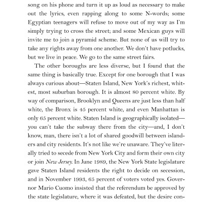 The Undocumented Americans