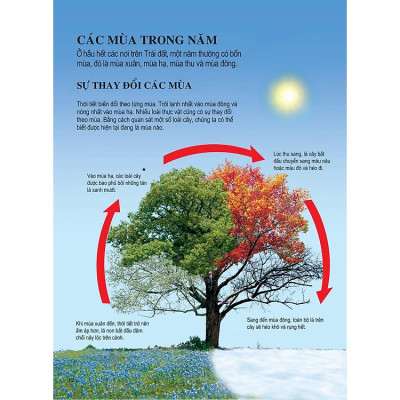 Bách Khoa Tri Thức Dành Cho Trẻ Em