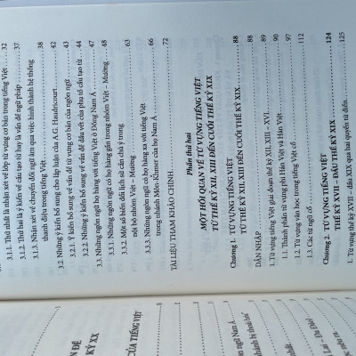 Tiếng Việt Lịch Sử - Một Tham Chiếu Hồi Quan