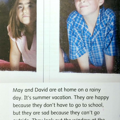 Dolphin Readers Level 4: We Won The Cup