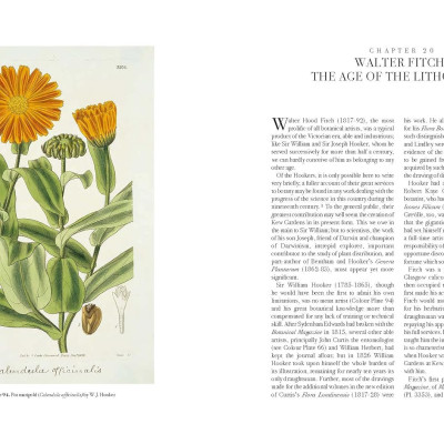 Artbook - Sách Tiếng Anh - The Art of Botanical Illustration
