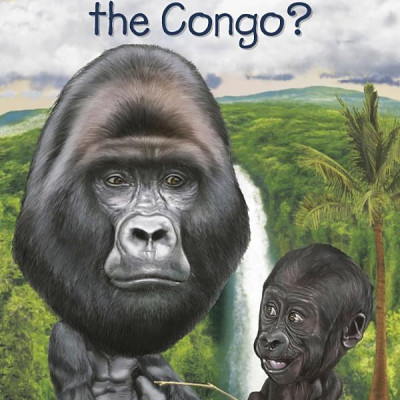 Where Is The Congo?