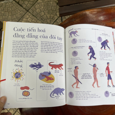 (Bìa cứng in màu - Tủ sách Giải thưởng BRAW “Giải Nobel của sách tranh”) TỎ TƯỜNG TAY TA – Bách khoa toàn thư về đôi tay - Vítězslav Mecner - Magda Garguláková  - Thư Vũ dịch - San Hô Books – NXB Thanh niên