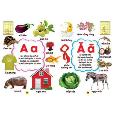 Từ Điển Bằng Tranh - Bảng Chữ Cái Tiếng Việt (Bìa Cứng)