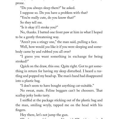 The Travelling Cat Chronicles