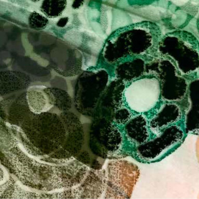 Flowers Of Yves Saint Laurent, The