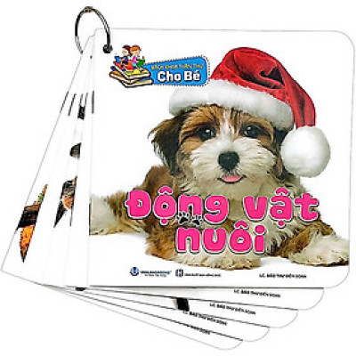 Bộ sách Bách Khoa Toàn Thư Cho Bé (Bộ 5 Cuốn)