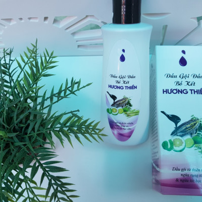 Dầu Gội Đầu Bồ Kết Hương Thiền