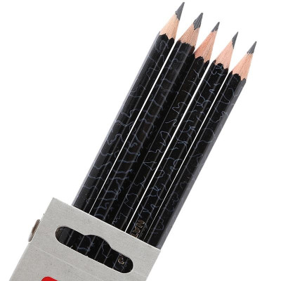 Hộp 6 Bút Chì Gỗ HB, B, 2B, 3B, 4B, 6B - Nataraj Artists 400061 - Thân Đen