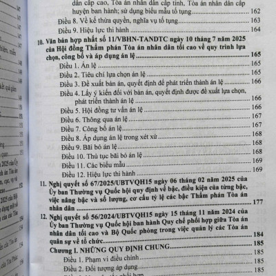 Sách Luật Tổ Chức Tòa Án Nhân Dân, Viện Kiểm Sát Nhân Dân sửa đổi, bổ sung năm 2025 (V2612T)