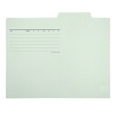 Bìa Giấy Por.F A4E 87-135ND - Xanh Mint