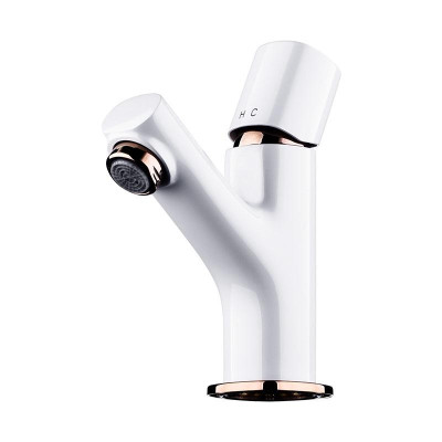 Vòi chậu cao cấp Bravat F1273308NP-RO