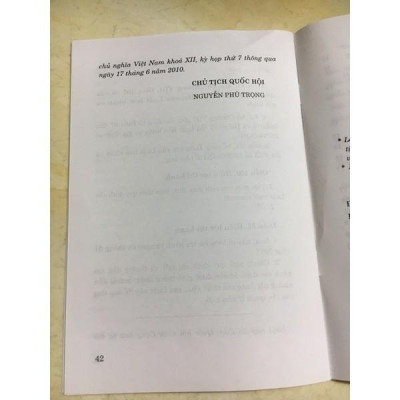 Sách - Luật Nuôi Con Nuôi - NXB Chính Trị Quốc Gia