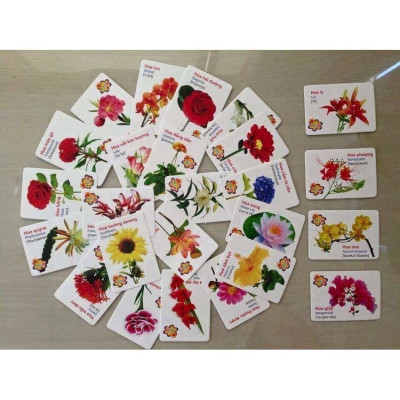 Bộ 416 thẻ học song ngữ Anh - Việt hữu ích cho bé