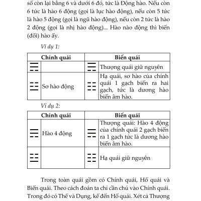Sách - Mai Hoa Dịch Số - Nguyễn Tuấn Vũ