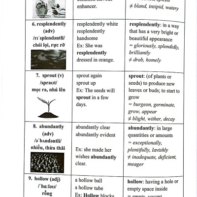 Tuyệt Chiêu Tăng Điểm Ielts Reading - Kho Từ Vựng Paraphrase Giỏi
