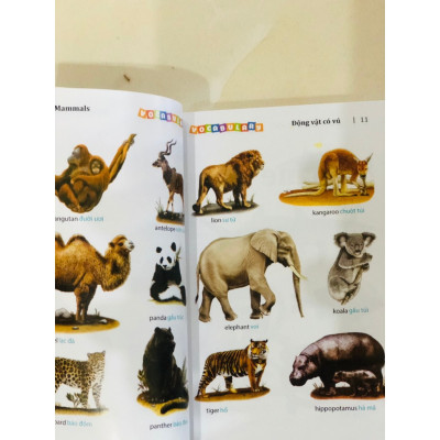 Sách - 5500 từ vựng tiếng Anh thông dụng nhất (bản màu)