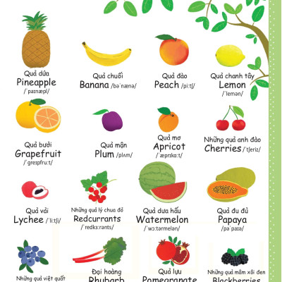 Cuốn Sách Từ Vựng Đầu Tiên Của Tôi - My First Word Book- Thức Ăn - Food