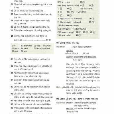 Làm Quen Với TOEFL ITP Grammar