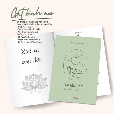 Sách - Gặt Bình An - Chép Chữ - Luyện Tâm - AZ Việt Nam