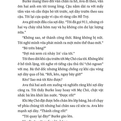 Lời Hứa Của Một Chú Chó - A Dog