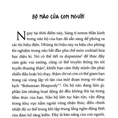 Cân Bằng Cảm Xúc, Cả Lúc Bão Giông