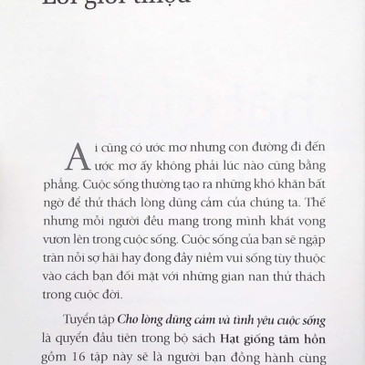Hạt Giống Tâm Hồn (Tập 2) - Cho Lòng Dũng Cảm Và Tình Yêu Cuộc Sống - Tái Bản
