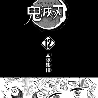 鬼滅の刃 12 - ONI METSU NO HA 12