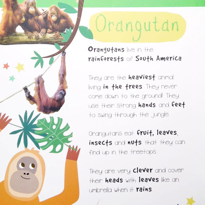 Little Wonders: Jungle Animals - 5 Puzzles