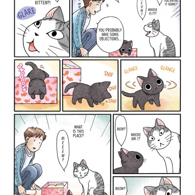 Sue & Tai-chan 1 (Graphic Novels)